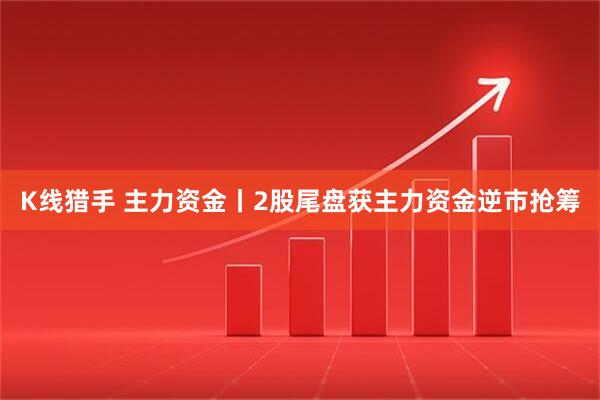K线猎手 主力资金丨2股尾盘获主力资金逆市抢筹