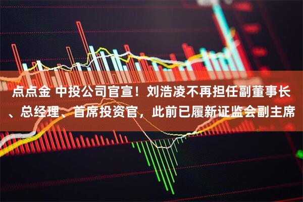 点点金 中投公司官宣！刘浩凌不再担任副董事长、总经理、首席投资官，此前已履新证监会副主席
