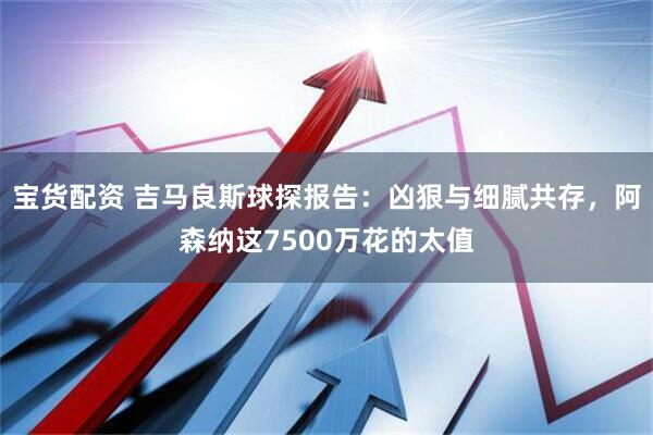 宝货配资 吉马良斯球探报告:凶狠与细腻共存,阿森纳这7500万花的太值