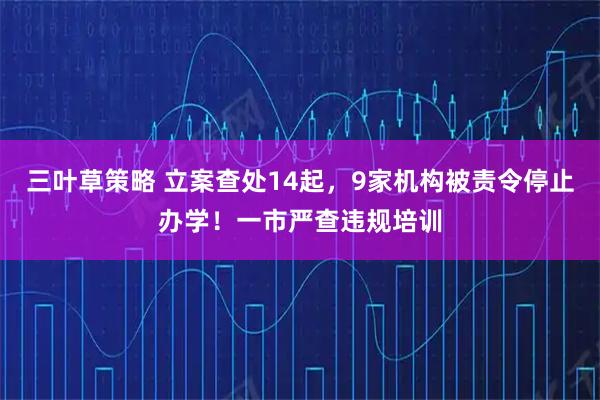 三叶草策略 立案查处14起，9家机构被责令停止办学！一市严查违规培训