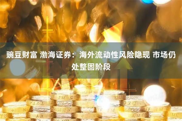 豌豆财富 渤海证券:海外流动性风险隐现 市场仍处整固阶段